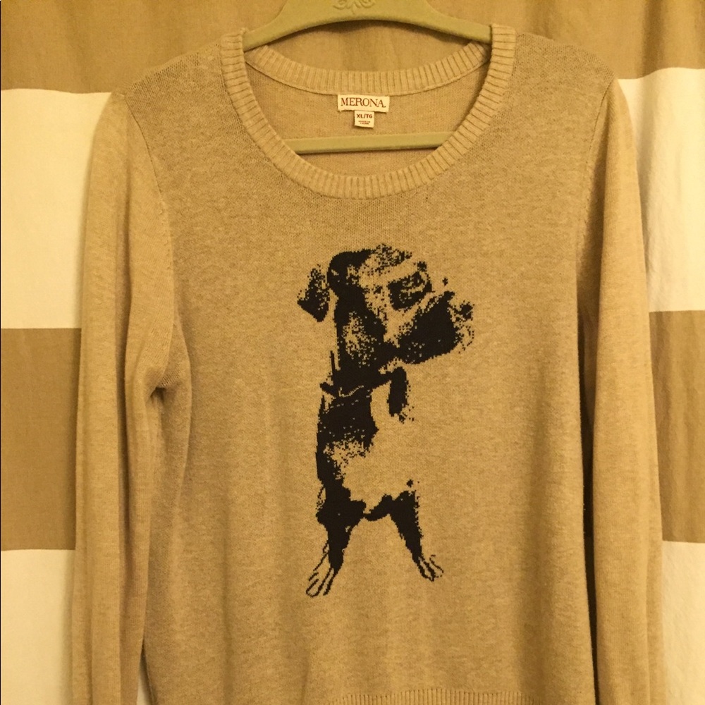 Tan Merona sweater